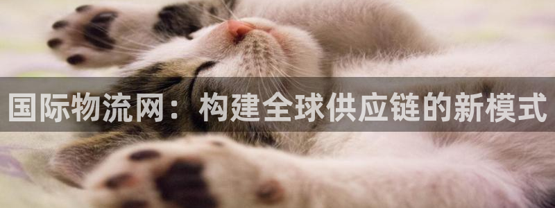 旺财28娱乐官网网页入口