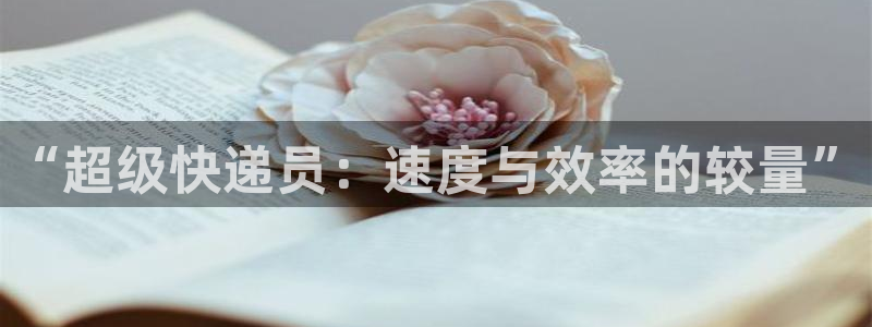 旺财28预测加拿大师准